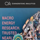 cornerstoneanalytics.com cornerstoneanalytics.com
