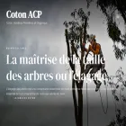 coton-acp.org coton-acp.org