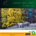 covinnus.com covinnus.com