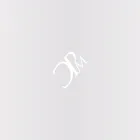 cpmgt.com.au