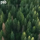 cpsb.ca cpsb.ca