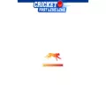 cricketfastliveline.com