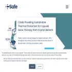 csafeglobal.com csafeglobal.com