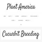 cucurbitbreeding.com cucurbitbreeding.com