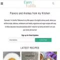 curryandvanilla.com curryandvanilla.com