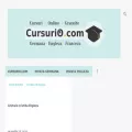 cursurio.com