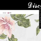 curvedream.co.uk curvedream.co.uk