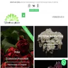 cveti32.ru cveti32.ru