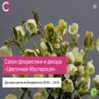 cveto-master.ru