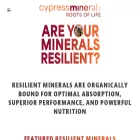 cypressingredients.com cypressingredients.com