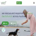 dachshundrescue.com.au