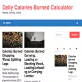 dailycaloriescalculator.com