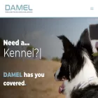 damel.co.nz