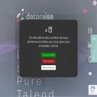 dataraise.com dataraise.com