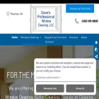 davesprofessionalwindowcleaning.com