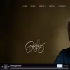 davidlanz.com davidlanz.com