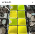 davidmaisel.com