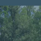 de15.prostatricumbest.com de15.prostatricumbest.com