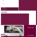 decoplanet.pl decoplanet.pl