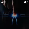 deltawebservices.net