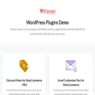 demo.flycart.net demo.flycart.net