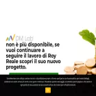 deshmember.com