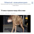design-saitov.ru design-saitov.ru