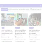detiksuararakyat.id