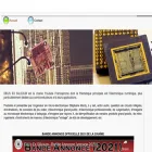dexsilicium.com
