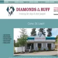 diamondsintheruff.com diamondsintheruff.com