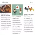 differencely.com differencely.com