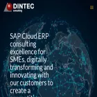 dintec.com dintec.com