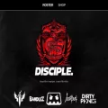 disciplerecs.com