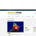 discoverwildlife.com