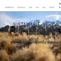 discoverzq.com discoverzq.com