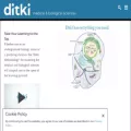 ditki.com ditki.com