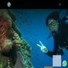 divecenterbali.com