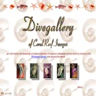divegallery.com divegallery.com