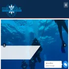 diverescueintl.com