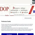 dizionario.rai.it dizionario.rai.it