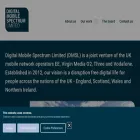 dmsluk.com