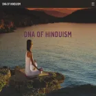 dnaofhinduism.com