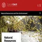 dnr.cornell.edu
