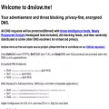 dnslow.me