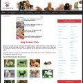 dogbreedplus.com