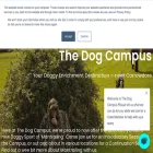 dogcampus.co.uk