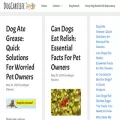 dogcarelife.com dogcarelife.com