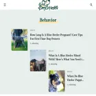 dogcutieshq.com