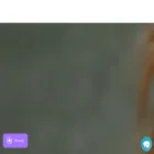 dognation.com.au dognation.com.au