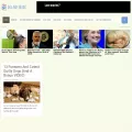 dognotebook.com